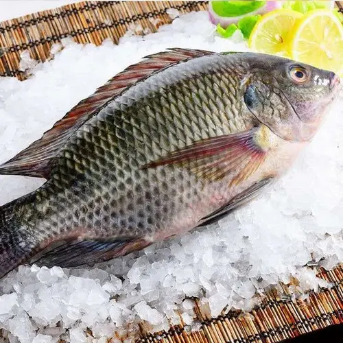 Nila Fillet Premium